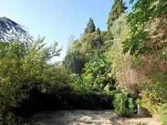 183 HYERES ET SES PALMIERS D02_000015
